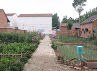 新房不乱、老宅不荒，河南出台宅基地新规