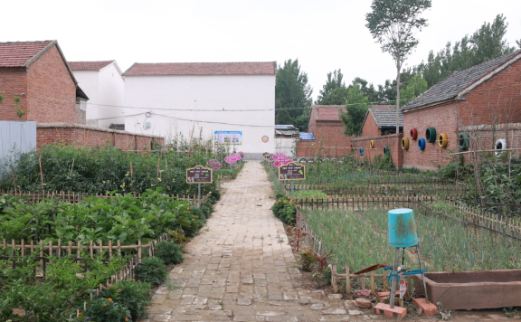 新房不乱、老宅不荒，河南出台宅基地新规